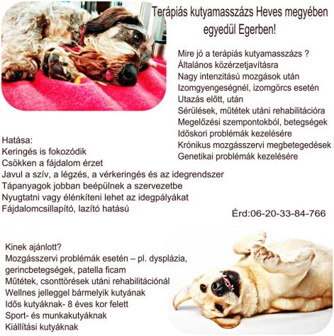 megkezdődik a csípő dysplasia kezelése